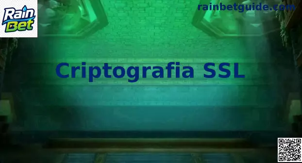 Esquema ilustrativo sobre criptografia SSL e conexões seguras via protocolo HTTPS